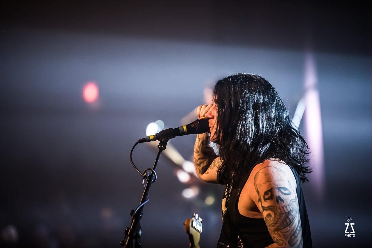 Bobaflex. ZSP 2411.