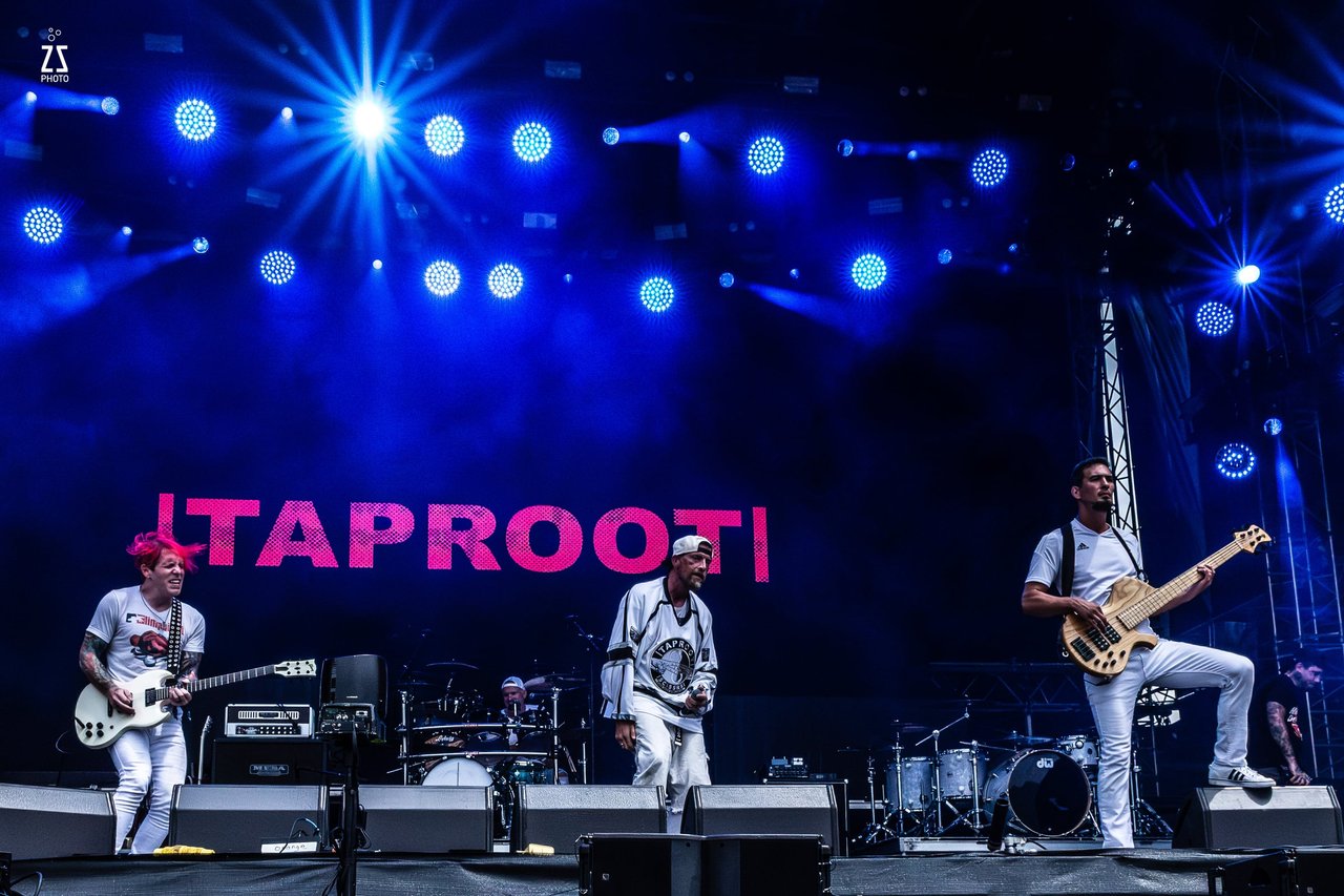 Taproot. ZSP 8218.