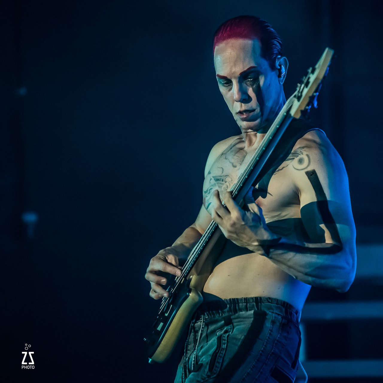 Mudvayne. ZSP 9704 2.